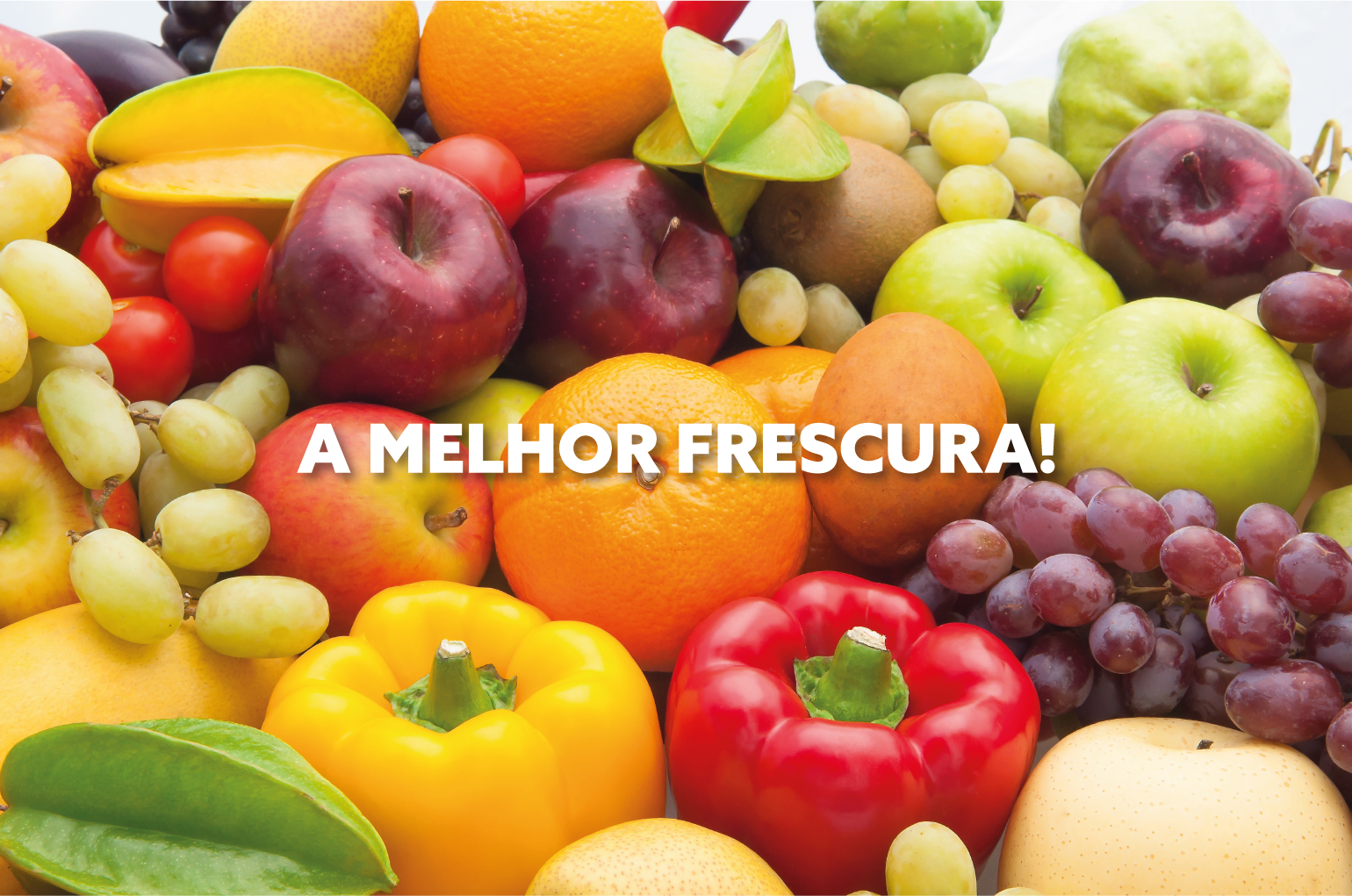 imagens_telemovel_Prancheta 1